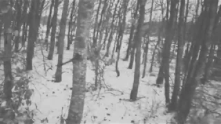 Absurd - Der Grosse Tod (Winter Ambience)