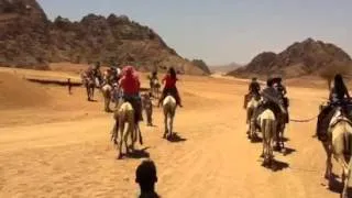 Egypt camel ride