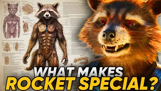 Anatomy Of ROCKET RACCOON Explored | Rocket Raccoon Vs High Evolutionary