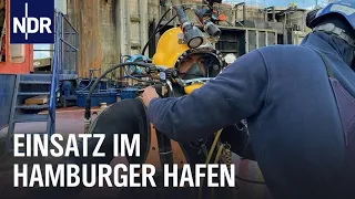 Hamburg: Die Hafentaucher | Die Nordreportage | NDR Doku