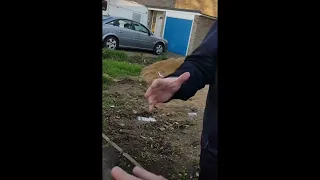 Bailiffs getting battered and owned in the uk compilation 1080p