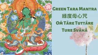 Green Tara Mantra / 綠度母心咒 (30 mins ver) -  Powerful Mantra, positive energy, meditation background