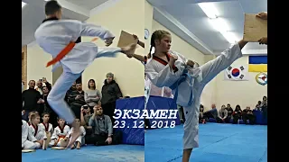 2018 Taekwondo exam