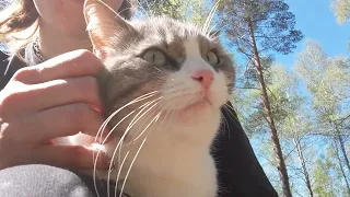 Swollen eye, swollen jaw and pasture release