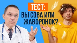 Сова или жаворонок - кто вы? Пройдите тест