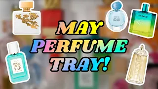 MAY PERFUME TRAY! 🩵☀️🌴 PERFUMES I WILL BE WEARING THIS MONTH! | SUMMER VIBES PERFUMES 🌊 | AMY GLAM ✨