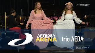 Artedea Arena 2024, trio AEDA