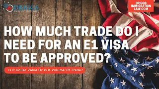 E1 Visa - How Much Trade Do I Need To Qualify?