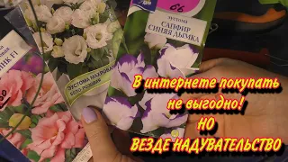 Людей косит НОВЫЙ ВИРУС  Подкупила СЕМЯН ЦВЕТОВ  Событие в оранжерее  Одолевает СТРАСТЬ к КУВШИНАМ