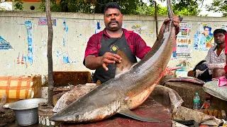 KASIMEDU 🔥 SPEED SELVAM | VERY RARE BIG SHARK FISH CUTTING | IN KASIMEDU | HD VIDEO | FF CUTTING 🔪