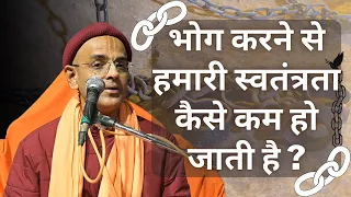 भोग करने से हमारी स्वतंत्रता कैसे कम हो जाती है? || HG Mohanrupa Prabhu || SB 6.5.15