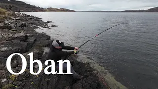 Scotland Road Trip - Part One - Common Skate in Oban