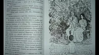 А. П. Чехов "Злой мальчик", аудиокнига