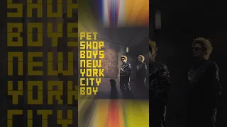 Single 31 - New York City boy - Released 27 September 1999 #PetShopBoys #SMASH