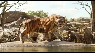 The Jungle Book (2016) - 'Intro to Shere Khan' Clip (VO)
