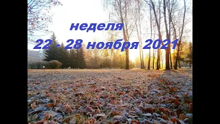 ВОДОЛЕЙ ♒. НЕДЕЛЯ 22-28 НОЯБРЯ 2021. Таро прогноз.