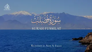 EXPLAINED IN DETAIL - SURAH FUSSILAT | ANAS AL EMADI | ENGLISH SUBTITLES | BEAUTIFUL RECITATION