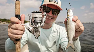 LIVE MULLET FISHING WITH THE NEW SHIMANO STRADIC | Redfish & Snook