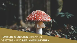 Toxische Menschen erkennen / verstehen / mit ihnen umgehen // Podcast #46