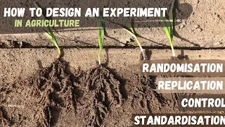 How to design an experiment in Agriculture| Randomisation, Replication, Control & Standardisation