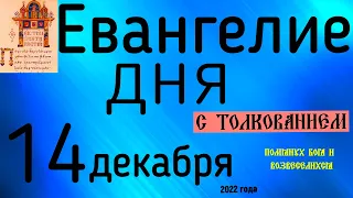 Евангелие дня с толкованием 14 декабря  2022 года 90 псалом