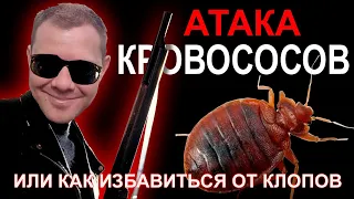 Атака Кровососов. Или как избавиться от клопов.