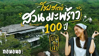 โฮมสเตย์ใหม่ บางกะเจ้า กลางสวนมะพร้าว 100ปี | กอมอนอ