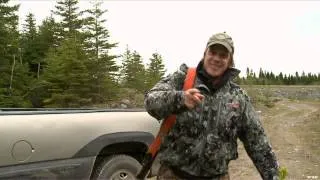 Hunt TV - Newfoundland Black Bear