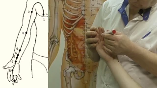Секреты китайской медицины (10). Точка лао-гун. Меридиан перикарда МС8.