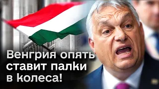 🤬 Венгрия опять стала на пути Украины в ЕС! Что хочет теперь?