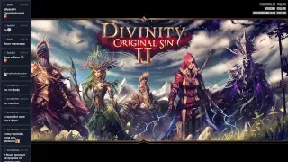 Divinity: Original Sin II: первый взгляд на игру (кооп)