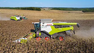 NAPRAFORGÓ ARATÁS 2020 | CLAAS LEXION 7700, 760, ZOM KFT.