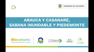 Proyecto Biocarbono, Arauca y Casanare, Sabana Inundable y Piedemonte. Sesión 3.