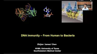 "DNA Immunity - From human to bacteria" by Dr. James Chen