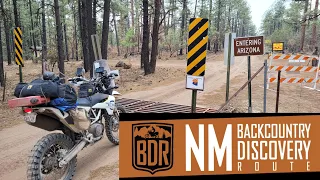 2021 New Mexico Backcountry Discovery Route Part 4 - Cibola Forest to Gila Forest