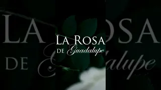 Asi Hacen El Famoso Viento De La Rosa de Guadalupe #shorts