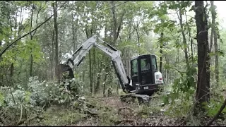 #58 Bobcat E45 Clearing, Burning, Stump Removal