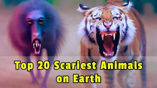 Terrifying Beasts Unleashed: Top 20 Scariest Animals on Earth | Shocking Wildlife Revealed