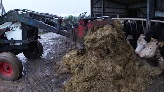 Case 1494 | Feeding Silage Bales To Cattle | Dec 2021 | (7)