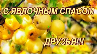 С яблочным СПАСОМ! С ПРЕОБРАЖНИЕМ ГОСПОДНИМ! Поздравление. Красивая музыкальная открытка.