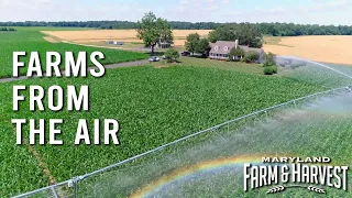 Farms from the Air: Corn Crops | Maryland Farm & Harvest