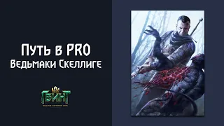 Путь к PRO рангу в Гвинт | Скеллиге на ведьмаках 8.0