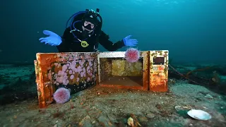 Winter diving in the arctic