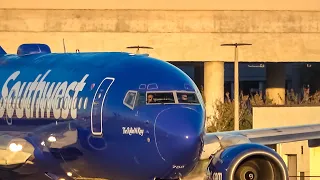 Sunrise  DC10 Screaming Takeoff Up Close Spotting TPA