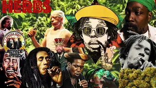 Ganja 🌿| Herbs | Cannabis 🌿| Marijuana  | Weed | Reggae Ganja Songs 🌿| Justice Sound