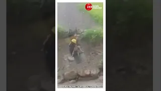 #viral | Construction Worker Risks Life to Save Stranded Dog from raging Bolivian river | Dog Rescue