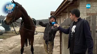 Не плати храната на конете - Жоро Игнатов (17.02.2024)