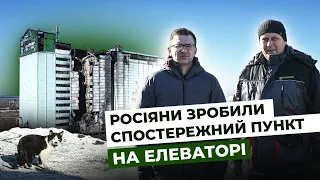 Снігурівка. Росіяни перетворили на руїни один із найбільших елеваторів Миколаївщини | Latifundist