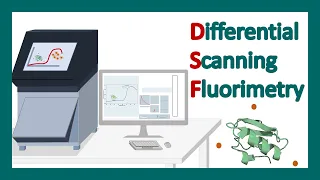 Differential Scanning Fluorimetry (DSF) | DSF application | Thermal stability of protein