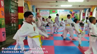 taekwondo kids || taekwondo kids exercise || taekwondo flexible kids || should children exercise ||